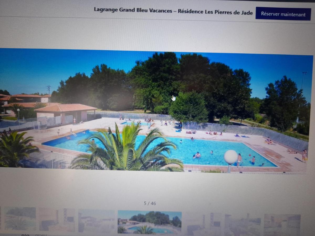Appart T3 Terrasse - Piscine - 3 Etoiles Saint-Cyprien  Exteriör bild